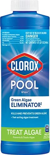 Clorox Pool&Spa Swimming Pool Algaecide, Prevents and Treats Pool Algae, Non-Foaming, 1 Quart (Pack of 1)