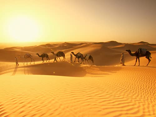 Egypt: Survivors in the Sands
