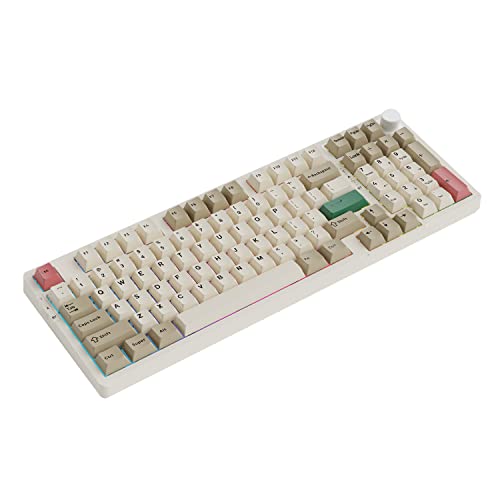 NACODEX AK966 96% RGB Gasket Mount Keyboard | Amazing 10000mAh Bluetooth /2.4G /Wired PC Gaming Custom Keyboard with Gateron Linear Switch | Knob Control | Cherry Profile PBT Keycaps