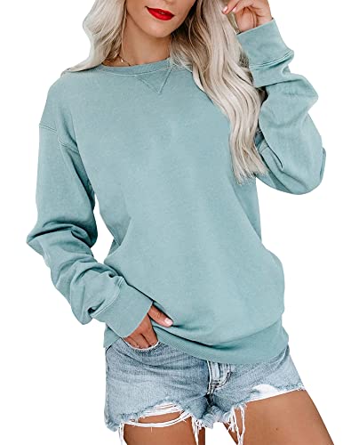 Bingerlily Womens Casual Long Sleeve Sweatshirt Crew Neck Cute Pullover Relaxed Fit Tops (Light Blue, Large)