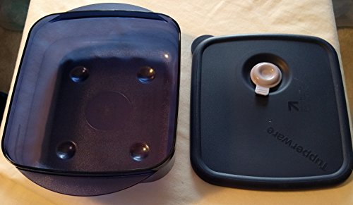 Tupperware Vent 'N Serve Medium Shallow in Indigo
