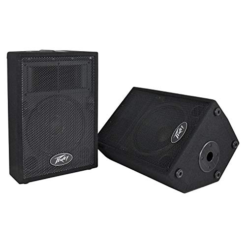 Peavey DJ 2-Way 100 Watt PA Speaker System with 10' Woofers (2 Speakers) | PVi10