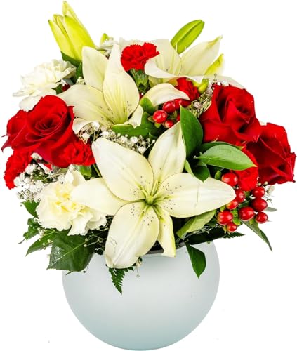 PICK YOUR OWN DELIVERY DATE | Red, White, Modern Love Aquabloom Arrangement with Opal Vase | Designed by Arabella Bouquets | Farm Fresh Cut Flowers, Gifts for Christmas, Birthday, Anniversary, Romance
