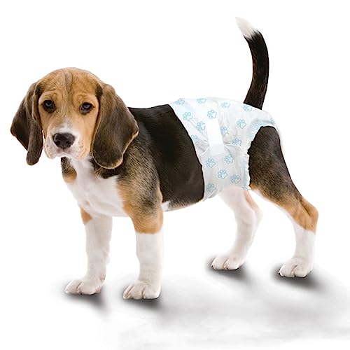 Four Paws Wee-Wee Disposable Dog Diapers Medium( 12 Count)