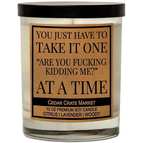You Just Have to Take It | Funny Candles Gift for Women Friends Mom, BFF, Girlfriend, Boyfriend | Inappropriate Candles with Funny Sayings | Funny Lavender Scented Fuck It Candles | Made in USA