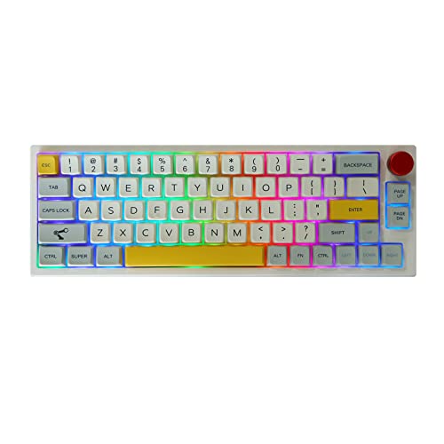 EPOMAKER TH66 Pro 65% Hot Swappable RGB 2.4Ghz/Bluetooth 5.0/Wired Mechanical Gaming Keyboard with MDA PBT Keycaps, Knob Control for Mac/Win (White Case, Gateron Pro Yellow)