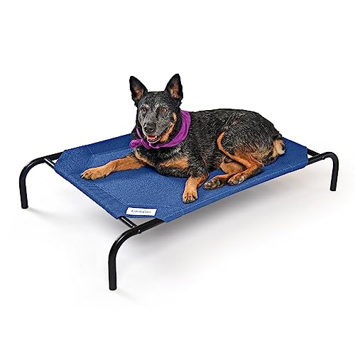 COOLAROO The Original Cooling Elevated Dog Bed, Indoor and Outdoor, Medium, 42'L x 25.5'W x 8'Th, Aquatic Blue