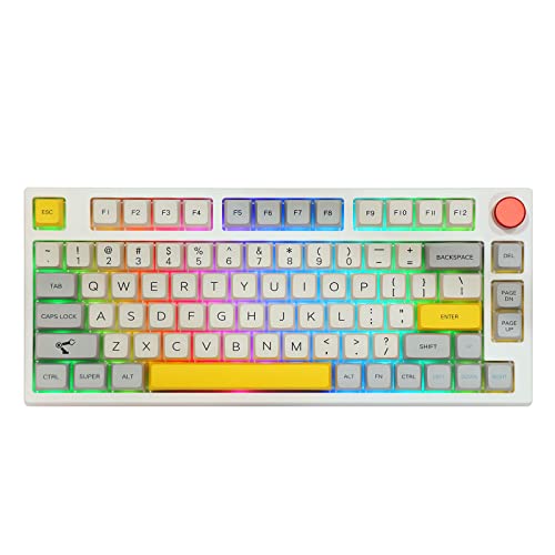 EPOMAKER TH80 Pro 75% Hot Swap RGB 2.4Ghz/Bluetooth 5.0/Wired Gaming Mechanical Keyboard, with 4000mah Battery, MDA PBT Keycaps, Knob Control for Windows/Mac PS5 PS4 Xbox(TH80 Pro, Gateron Pro Yellow)