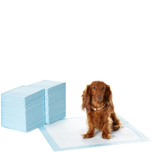Amazon Basics Dog and Puppy Pee Pads with 5-Layer Leak-Proof Design and Quick-Dry Surface for Potty Training, Regular, 22 x 22 Inch, Scented - Pack of 100