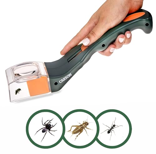 Carson BugView Quick-Release Bug Catching Tool and Magnifier for Spider, Children and Adults, green, one size (HU-10)