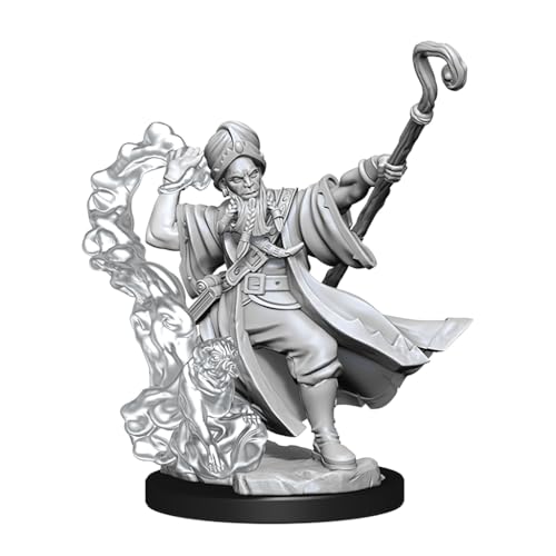 D&D Frameworks: Human Wizard Male - Unpainted and Unassembled