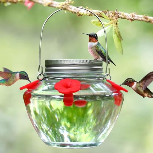 TPZAERK Mason Jar Hummingbird Feeder for Outdoors Hanging, Glass Humming Bird Feeders with 4 Feeding Ports, Top Fill Leak-Proof Design Easy to Use and Clean, Silicone Flowers + Heavy Duty Glass
