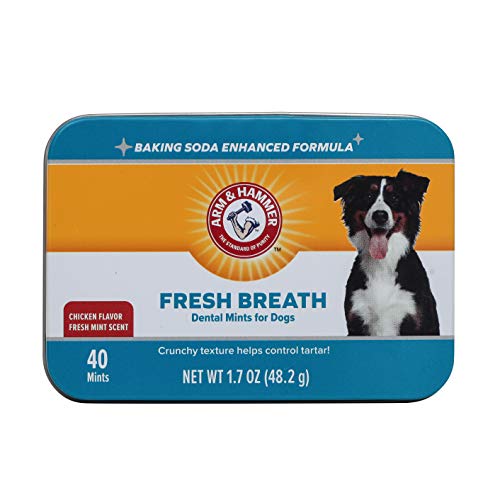 Arm & Hammer for Pets Dental Mints for Dogs, Fresh Breath | Get Fresh Doggie Breath Without Brushing, Way to Fresher Dog Breath | Chicken Flavor, 40 Count (Packaging may vary)