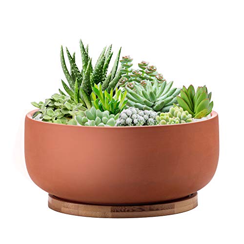 EPFamily Terracotta Shallow Succulent Planter, 8 Inch Planter Pot with Bamboo Tray, Clay Flower Pot Indoor and Outdoor Planter with Drainage Hole, TerraCotta