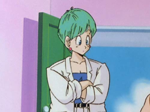 Prologue to Battle! The Return of Goku!