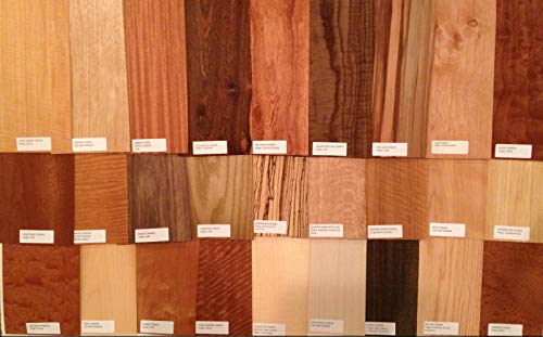 40-6' x 12' Labeled Wood Veneer Pieces (20 Square Feet) Exotic and Domestic Marquetry Arts Crafts Pack