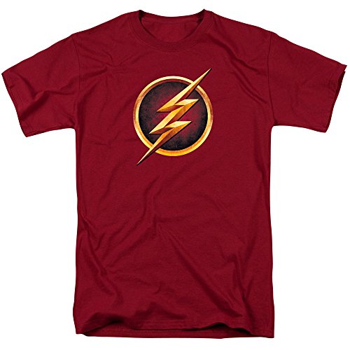 The Flash TV Series Logo T Shirt and Stickers (Large)