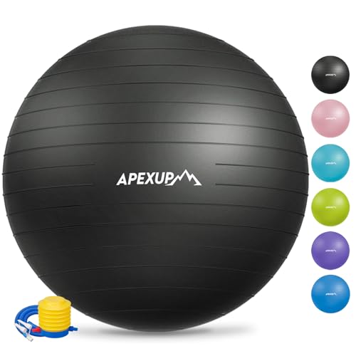 APEXUP Yoga Ball Exercise Ball, Anti Slip Stability Ball Chair, Heavy Duty Large Gym Ball for Fitness, Balance, Core Workout and Physical Therapy (L (23'~26') 65cm, Black)