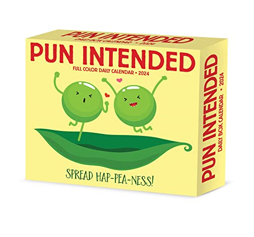 Willow Creek Press Pun Intended Daily 2024 Box/Desk Calendar (5.86' x 4.72')