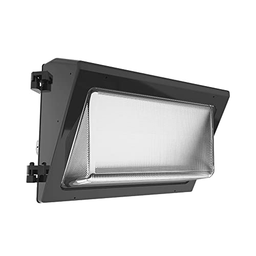 RAB Lighting WP2XFU60 60 Watt LED Wall Pack 8583LM Fully Adjustable Wattage and Color, 120-277 Volt, Semi Cutoff, Bronze. Glass Lens, 0-10V Dimming to 10%, DLC