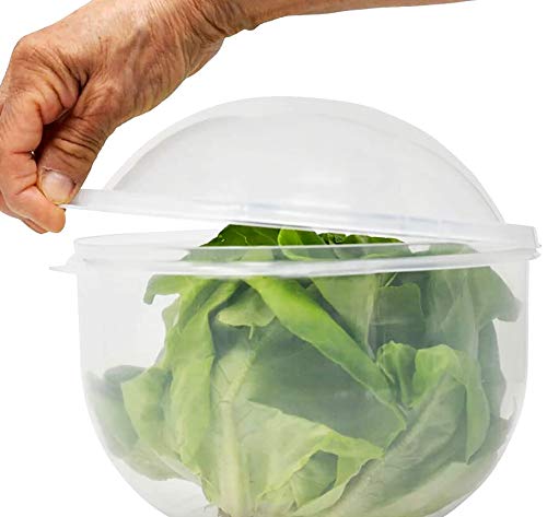 Lettuce Keeper | Vegetable and Fruit Crisper | Lettuce Crisper Salad Keeper Container Keeps your Salads and Vegetables Crisp and Fresh-7' X 8'- by Home-X