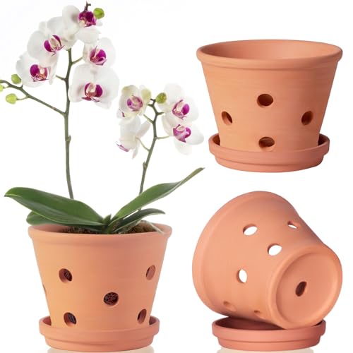 6 inch Terracotta Orchid Pots with Holes and Saucers, 3 Pack Clay Orchid Planter Pots for Repotting, Small Terra Cotta Orchid Pot, Plant Flower Pots for Orchid Indoor Outdoor Promotes Air Circulation