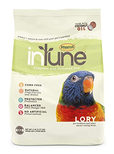 Higgins Intune Lory Food 5 Lb, Large