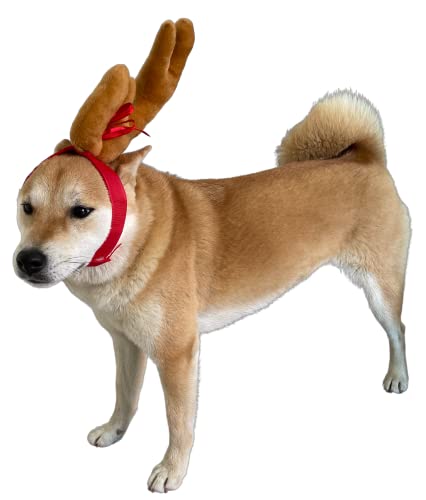 ComfyCamper Reindeer Antler Dog Halloween Costume - Headband Max Puppy Puppies Cat Kitten Pet Deer Moose Head Band, S