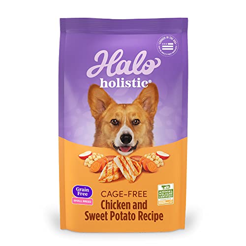 Halo Holistic Small Breed Grain Free Cage-free Chicken & Sweet Potato Recipe 10 lb bag