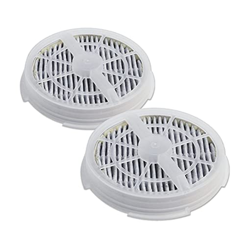 PUREBURG Replacement HEPA Filter Compatible with RIGOGLIOSO GL-2103 GL2103 SY900S Air Purifier also Compatible JINPUS Houzetek WSTA Meleden DHS COSTWAY, 3-Stage Filtration Activated carbon,2-Pack