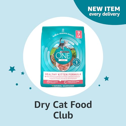Highly Rated Dry Cat Food Club - Amazon Subscribe & Discover, Kitten