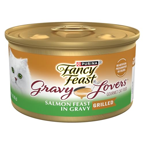 Purina Fancy Feast Gravy Lovers Salmon Feast Gourmet Cat Food in Wet Cat Food Gravy - (Pack of 24) 3 oz. Cans