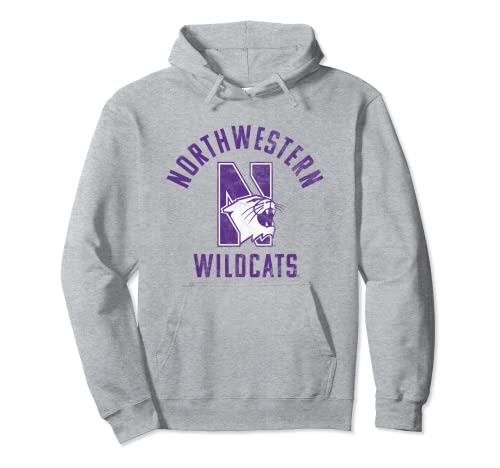 Northwestern University Wildcats Large Pullover Hoodie