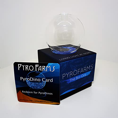 PyroFarms The Bioluminescent Bio-Orb Gift Option - Living Orb with Free Glowing Plankton Coupon