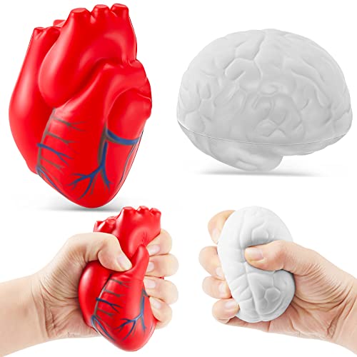 Anatomy Stress Toy Set 2 Pieces Heart Stress Balls with Brain PU Foam Stress Ball Fake Healthcare Anatomy Stress Ball for Relief Stress