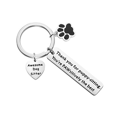 Lywjyb Birdgot Dog Walker Gift Dog Sitter Thank You Gift Dog Sitter Keychain