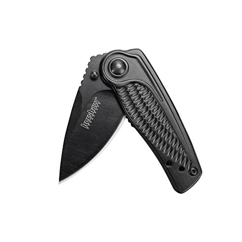 Kershaw Spoke Pocket Knife, 2' 4Cr14 Steel Blade with BlackWash Coatin, Compact Assisted-Opening EDC