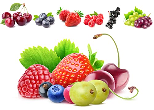 6 Types Mix Fruit Seeds for Planting Strawberries Grape Raspberries Blueberry Elderberry Cherry Seeds 560+ Non-GMO Heirloom and Organic for Home Garden / Bonsai Berry Seeds Sweet and Delicious