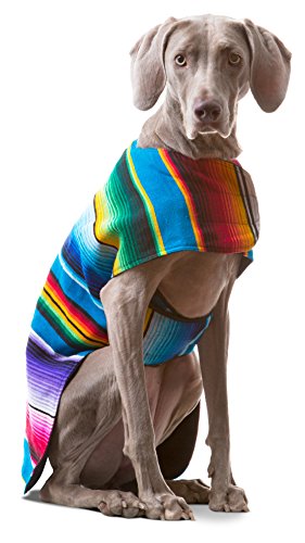 Dog Clothes - Handmade Dog Poncho from Authentic Mexican Blanket by Baja Ponchos (Blue, X-Large)