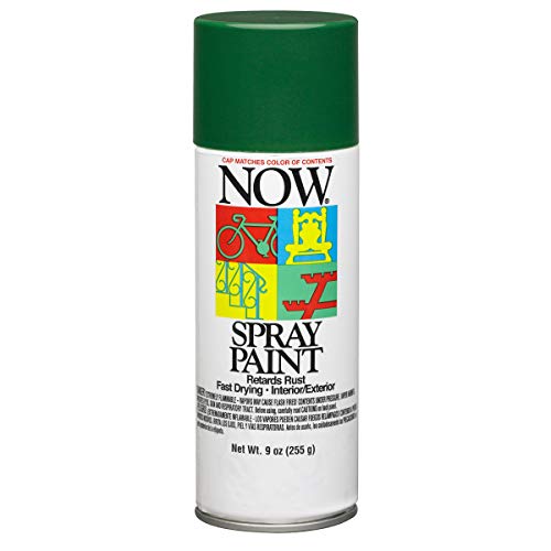 9 oz Krylon 21205 NOW Hunter Green Enamel Spray Paint