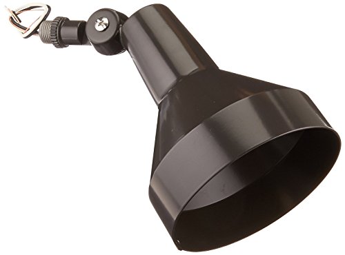 RAB Lighting H101A 150-watt Max. Par38 Landscape Lighting Flood Fixture 120-volt, Bronze