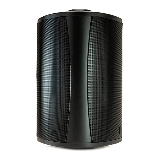 Definitive Technology AW6500 Outdoor Speaker - 6.5-inch Woofer, 200 Watts, Built for Extreme Weather, Single, Black