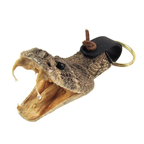 Treasure Gurus Eastern Diamondback Rattlesnake Head Keychain 100% Real Taxidermy Car Key Ring