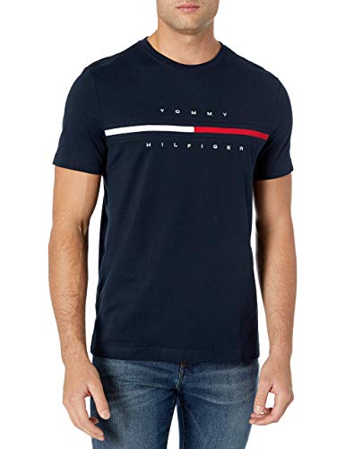Tommy Hilfiger mens Short Sleeve Signature Stripe Graphic T-shirt T Shirt, Sky Captain, Medium US