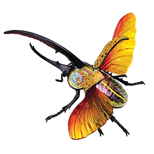 Skeleton Model Anatomy Model 4d Insect Anatomy Model Biology Organs Model Puzzle Torso Body Model Anatomical Models Insect Organ Model