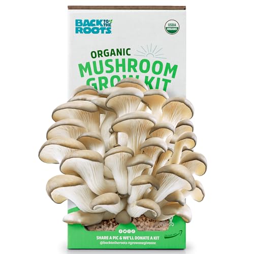 Back to the Roots Organic Oyster Mushroom Grow Kit, Harvest Gourmet Mushrooms In 10 Days