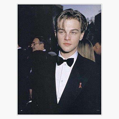 Leonardo Dicaprio Sticker Vinyl Sticker Laptop Decal Waterproof 5'