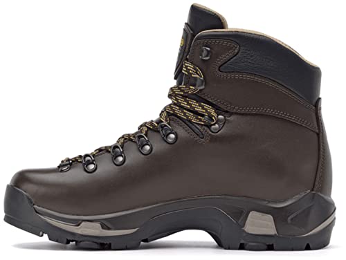 Asolo Men's TPS 520 GV EVO Chestnut Boot 10.5 Wide