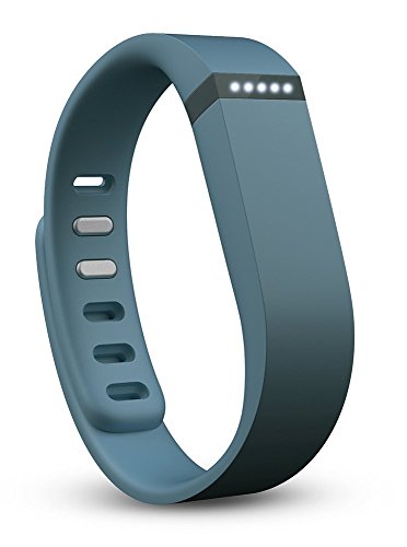 Fitbit Flex