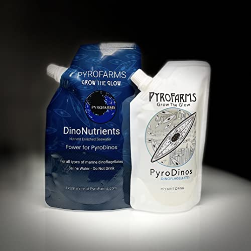 Glowing PyroDinos with DinoNutrients - Grow Bioluminescent Plankton